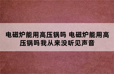 电磁炉能用高压锅吗 电磁炉能用高压锅吗我从来没听见声音